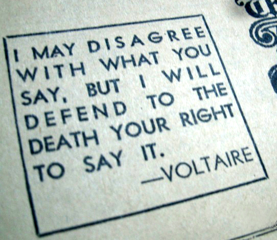 voltaire-quote1_1256229_0.jpg