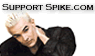 supportspike_192405_2.gif