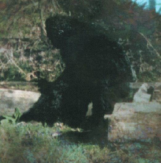 bigfoot_288154_0.jpg