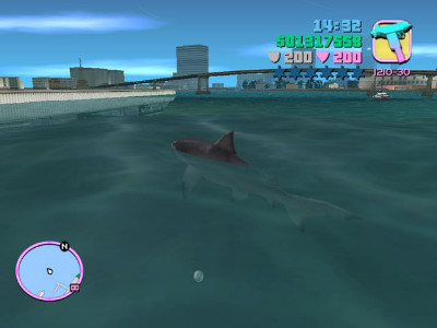shark_329991_0.jpg