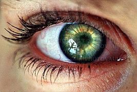 eye_483800_0.jpg