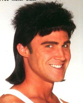 mullet_wig_682778_0.jpg