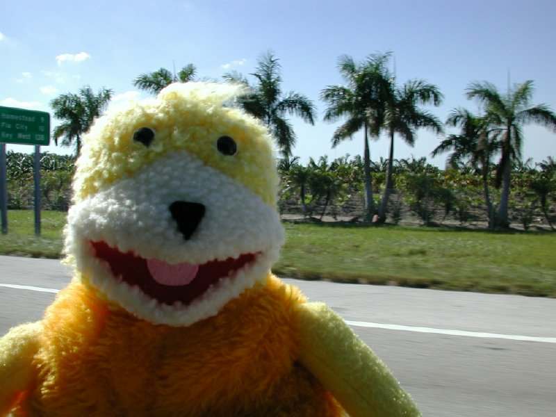 flateric_we-go-driving_79930_0.jpg
