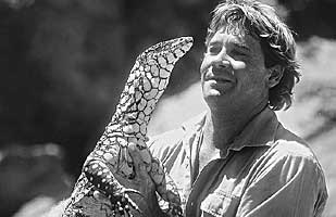lismore_steve_irwin_760096_0.jpg
