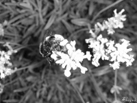 flyupontimebb1th_782114_0.png