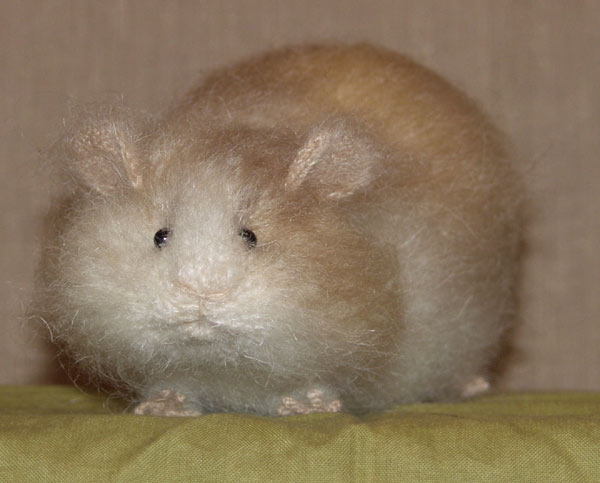guinea-pig3_806259_0.jpg