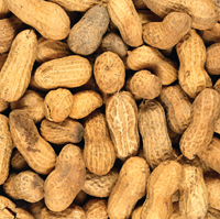 CHEMICAL_SCIENCE-peanuts-200_tcm18-26794_851928_0.jpg