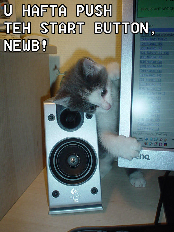Start_button_kitten_862929_0.jpg