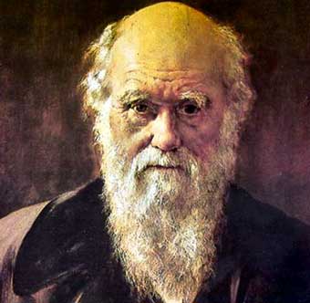 darwin_charles_876281_0.jpg