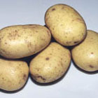 potatis_886328_0.jpg
