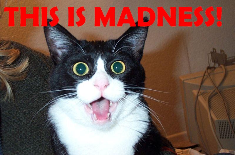 1174327506-madness_893366_0.jpg