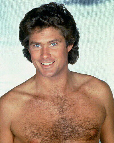 hasselhoff-david-photo-xl-david-hasselhoff-6210197_907257_2.jpg