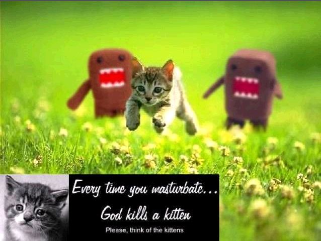 God-kills-kitten_924055_0.jpg
