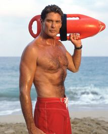 David_Hasselhoff_941093_0.jpg