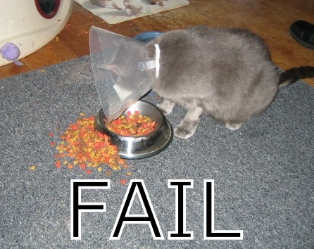 fail_959948_0.jpg