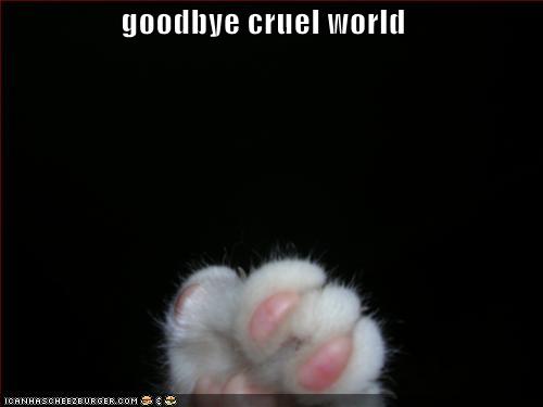 funny-picture-goodbye-cruel-world_959941_3.jpg