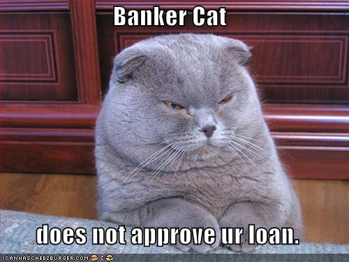 funny-pictures-banker-cat_959852_4.jpg