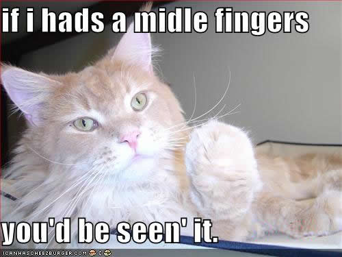 funny-pictures-cat-giving-finger_958803_2.jpg
