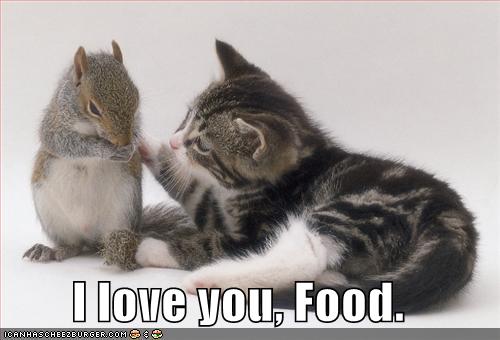 funny-pictures-cat-loves-food_959941_2.jpg