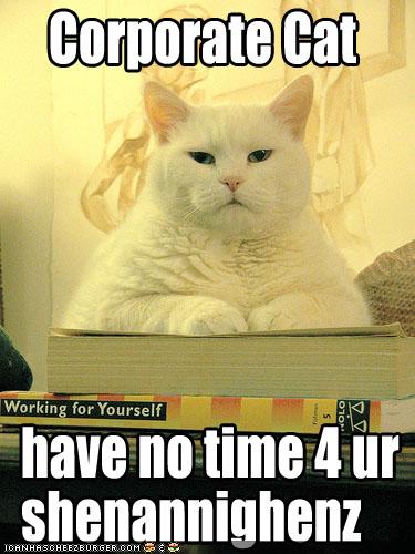 funny-pictures-corporate-cat_959852_2.jpg