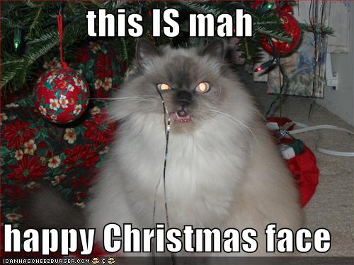 funny-pictures-my-happy-christmas-face_959891_0.jpg