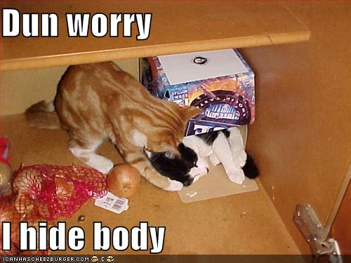 funny-pictures-cat-hides-body_967110_1.jpg