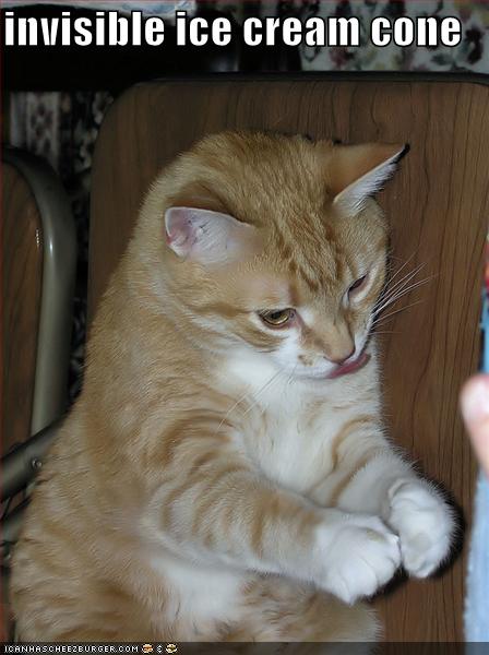 funny-pictures-cat-inivisible-icecream-cone_968239_7.jpg