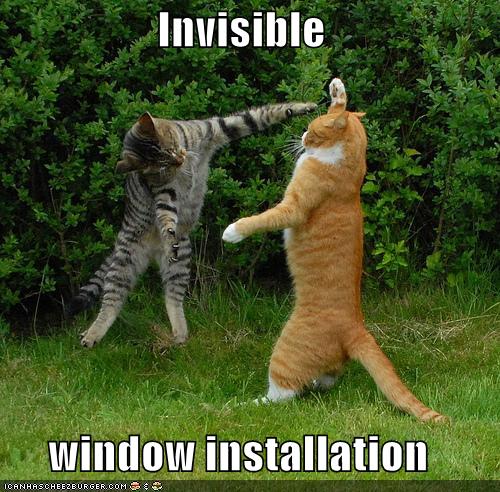 funny-pictures-cat-install-invisible-windows_968239_5.jpg