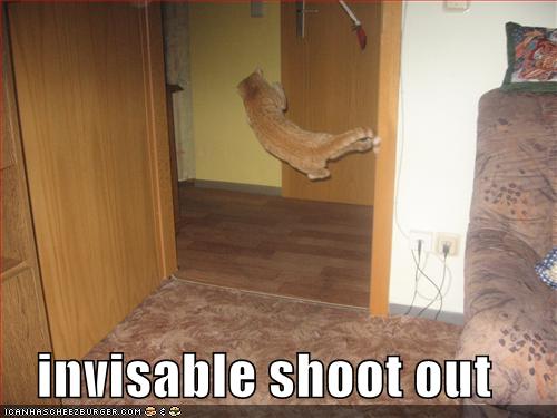 funny-pictures-cat-invisible-shootout_967110_5.jpg