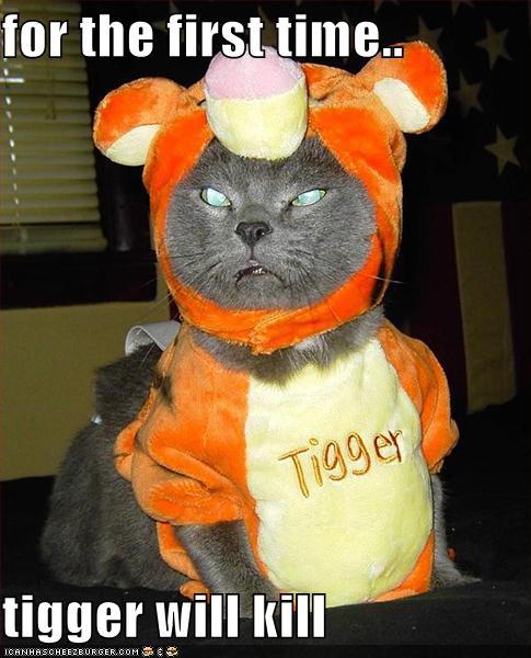 funny-pictures-cat-tigger-kill1_967110_0.jpg
