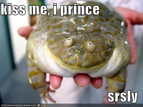 funny-pictures-frog-prince-kiss_968803_9.jpg