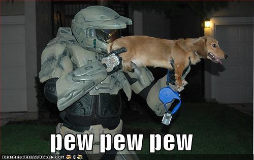 funny-pictures-halo-dog-pew_960471_0.jpg