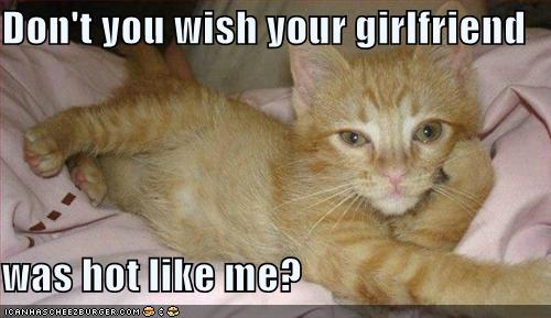 funny-pictures-hot-cat-girlfriend_960618_1.jpg