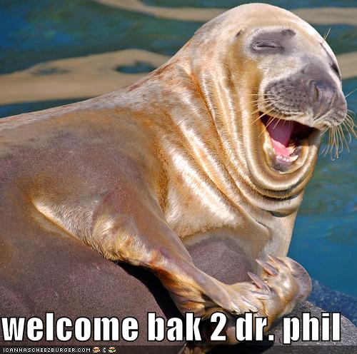 funny-pictures-dr-phil-seal_994280_0.jpg