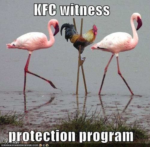 funny-pictures-kfc-chicken-stilts-flamingos_991826_0.jpg