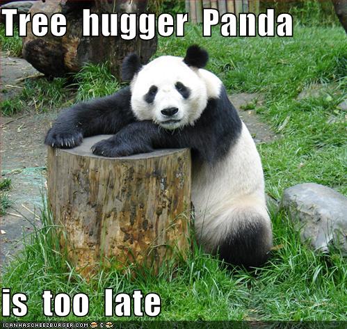 funny-pictures-tree-hugger-panda_994767_0.jpg