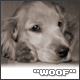Woof.gif