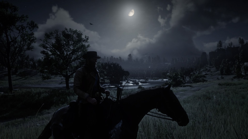 Red Dead Redemption 2_20181106193209.jpg