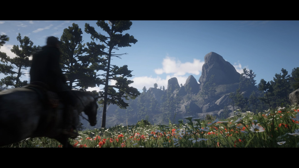 Red Dead Redemption 2_20181107184625.jpg